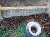 image of grave number 368826